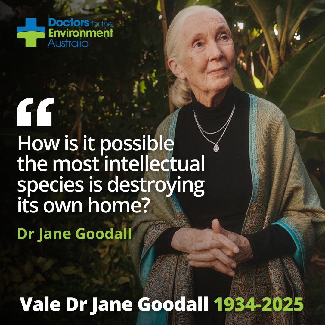 DEA is saddened to learn of the passing of legendary primatologist and conservationist, Dr Jane Goodall.

She leaves behind an extraordinary legacy, and her important work advocating for the health of our natural world and all its inhabitants will never be forgotten💚
