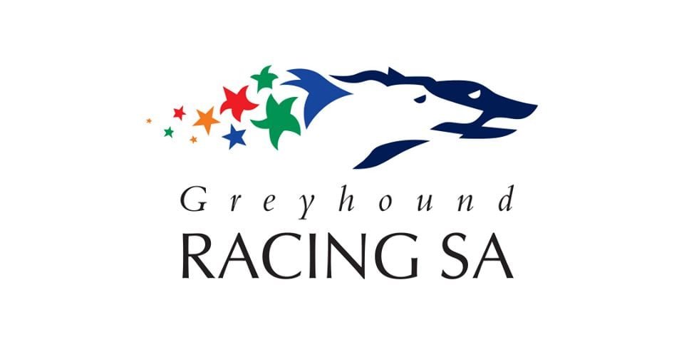 TheDogsSA's tweet photo. Angle Park Preview - 2 October: https://t.co/UCQvizBrmc
TELLING THE TAIL by The Shadow
I have said for many a year that the Adelaide Cup heat night is one of the best nightβs to attend, so make sure you are there and see 7 quality heats, races 3 through to 9.
#Adelaidecup https://t.co/fdTv9ybodq