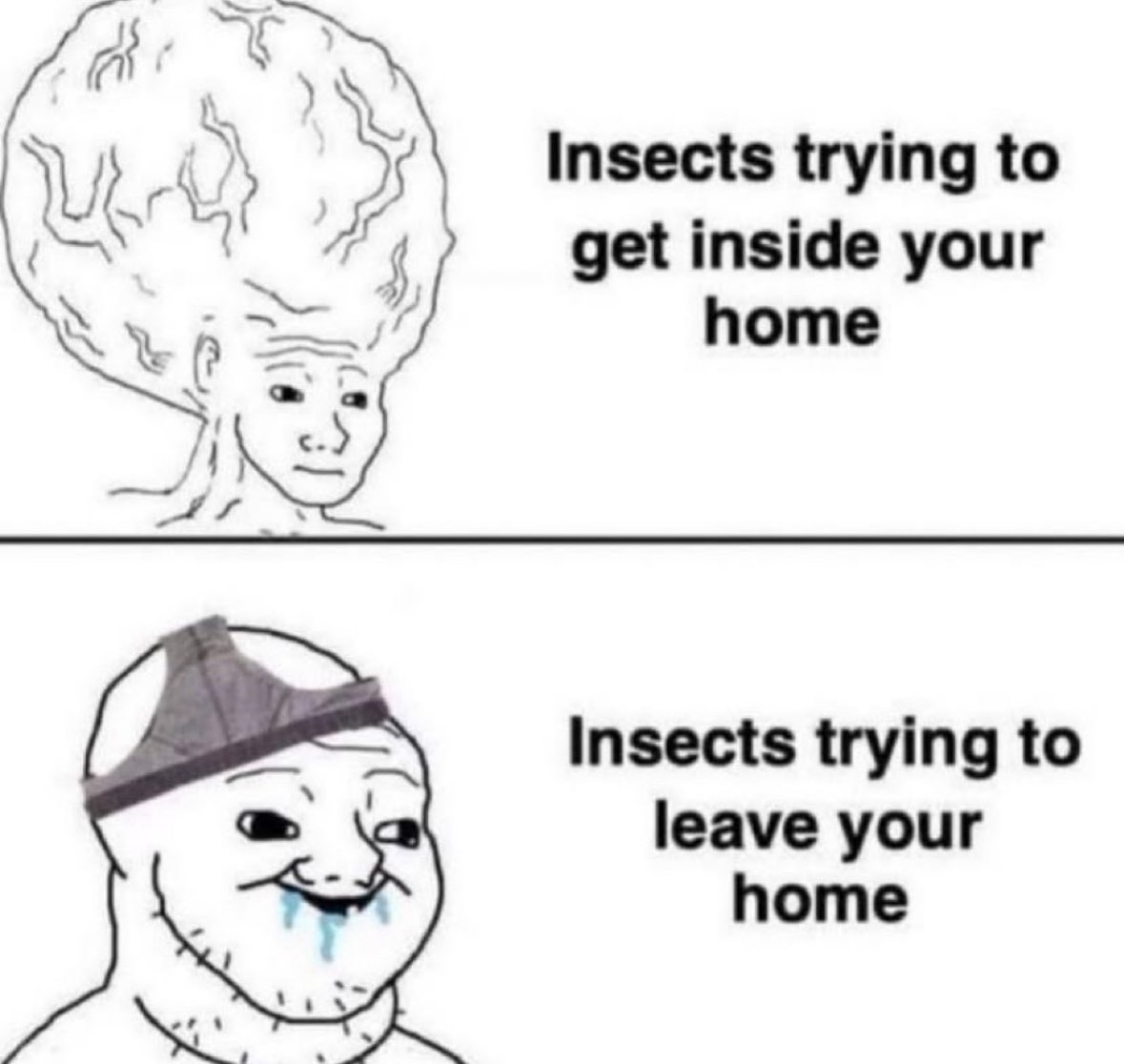 Respectful Memes (@respectfulmemes) on Twitter photo 