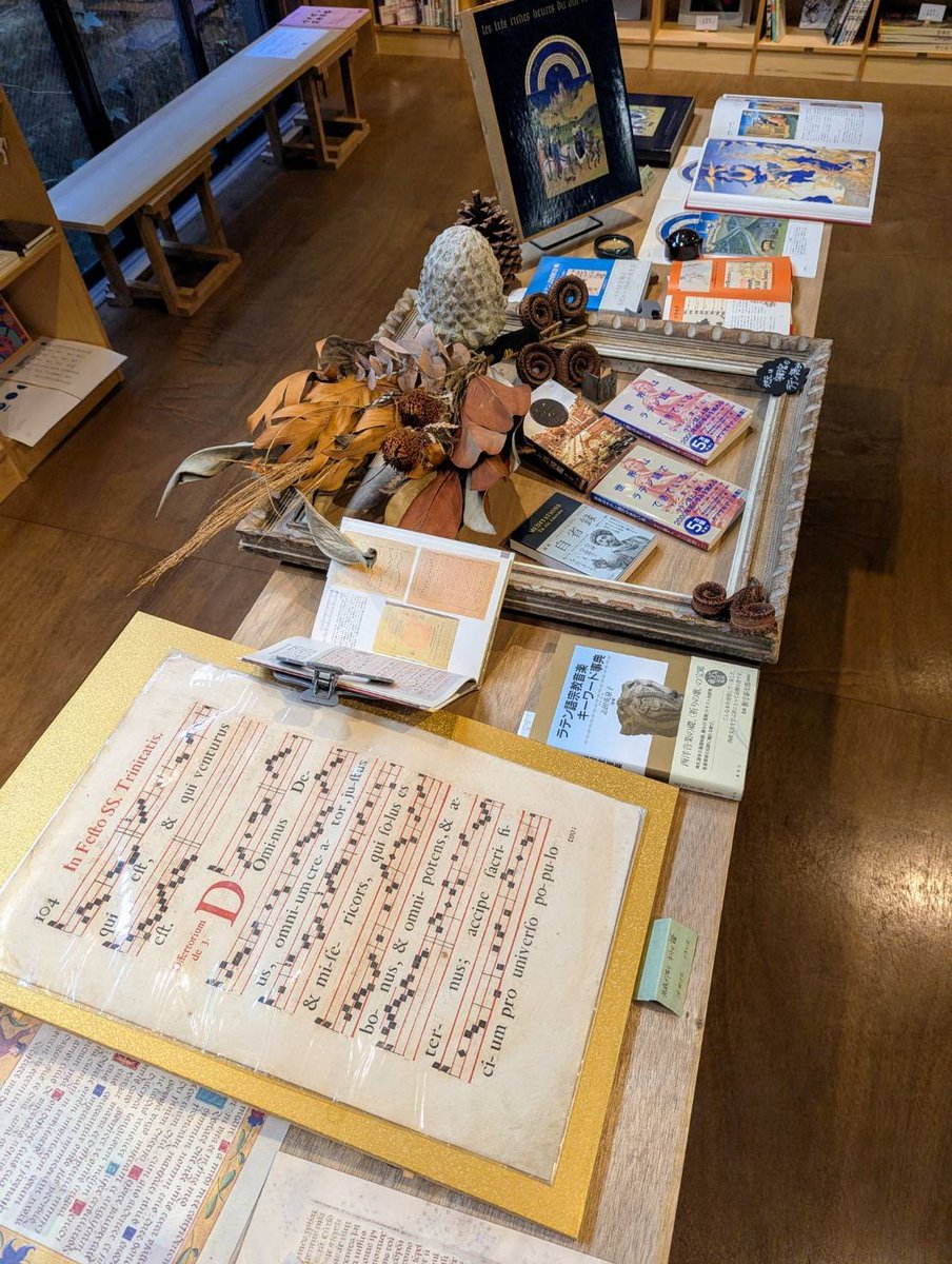 大型本　ローマ時代のCasa 家屋に関する専門書　英文　詳細は説明ご覧ください 大型本 ローマ時代のCasa 家屋に関する専門書 英文 詳細は説明