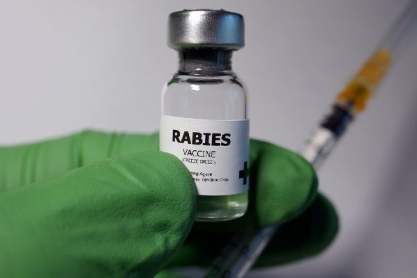 AtheistRepINT's tweet photo. Clerics claim “science is in the Qur’an.” If true, why can’t they extract cures for HIV, cancer, Alzheimer’s, or even the common cold? Gave no medicine. Gives hope. Only science cures, while religion just makes claims. #Atheism #ScienceOverFaith https://t.co/PcfUY34EBM