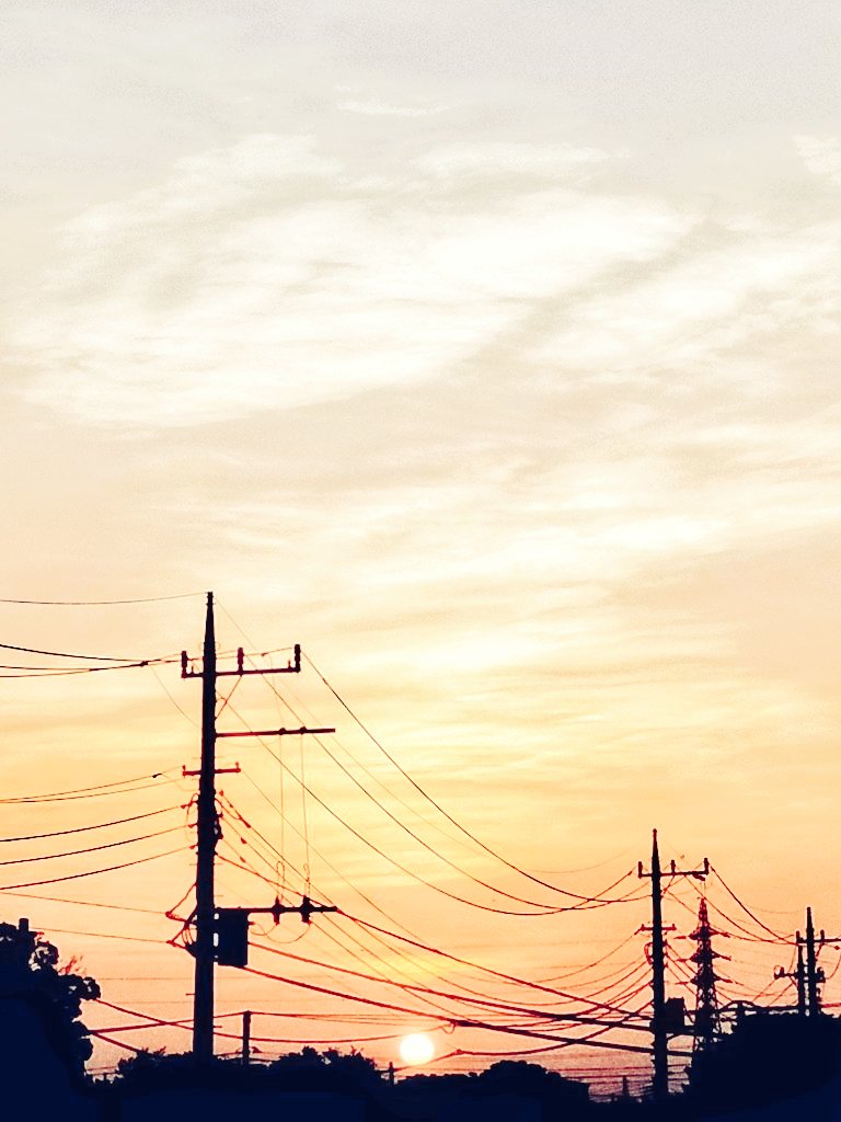 _ASUKA_2020's tweet image. #9月を写真4枚で振り返る
夏休み明けの9月は瞬く間に過ぎていった…あまり写真撮らなかったし…。そうだ、休日出勤あったから遠出してないんだ!
①庭に迷い込んできたアゲハ蝶
②通勤途中に見かける鉄塔
③私の部屋から見えた朝焼け
④ブラックパールという名の百日紅…
