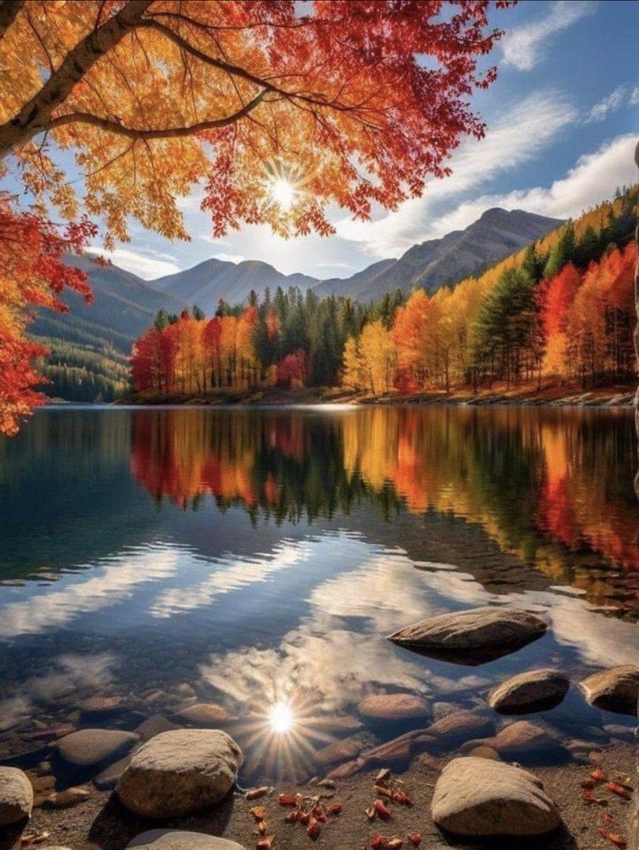 Have a beautiful day!🧡