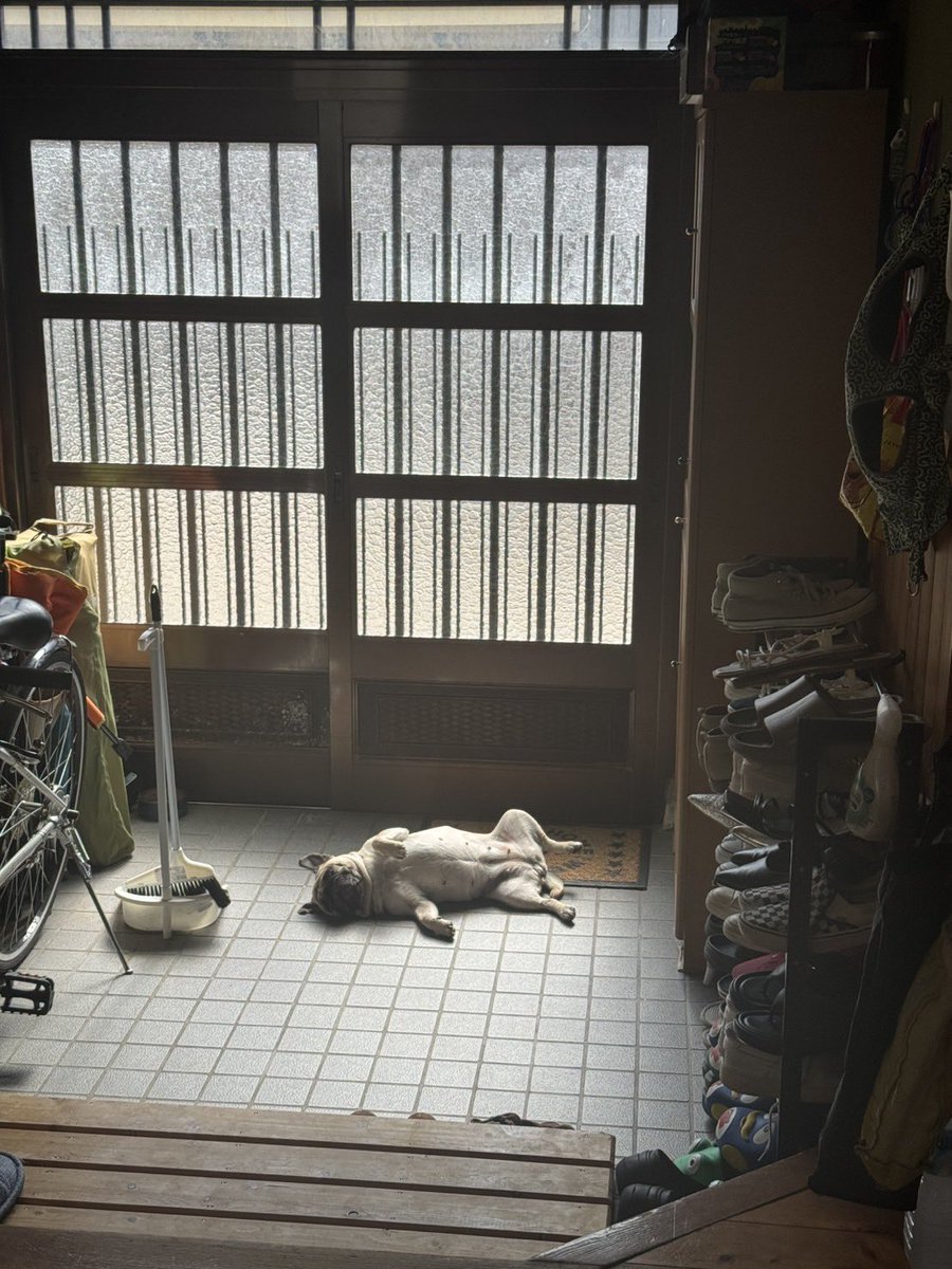 うめちゃん日記 (@Umechanpag) / Posts / X