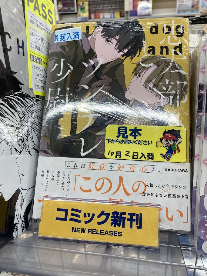 書店限定特典4Pリーフレット付商業BL23冊セット 書店限定特典4Pリーフレット付商業BL23冊セット