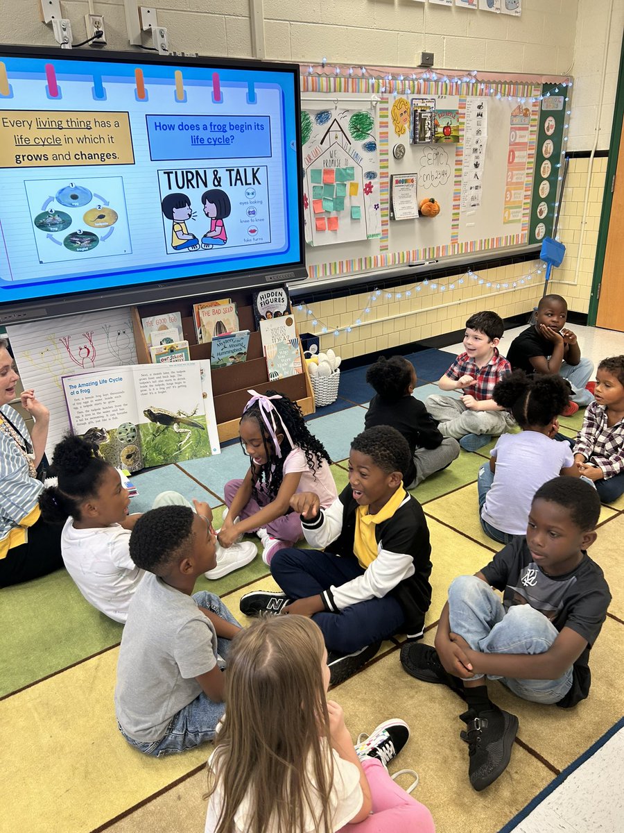 Diane Willis tweet media