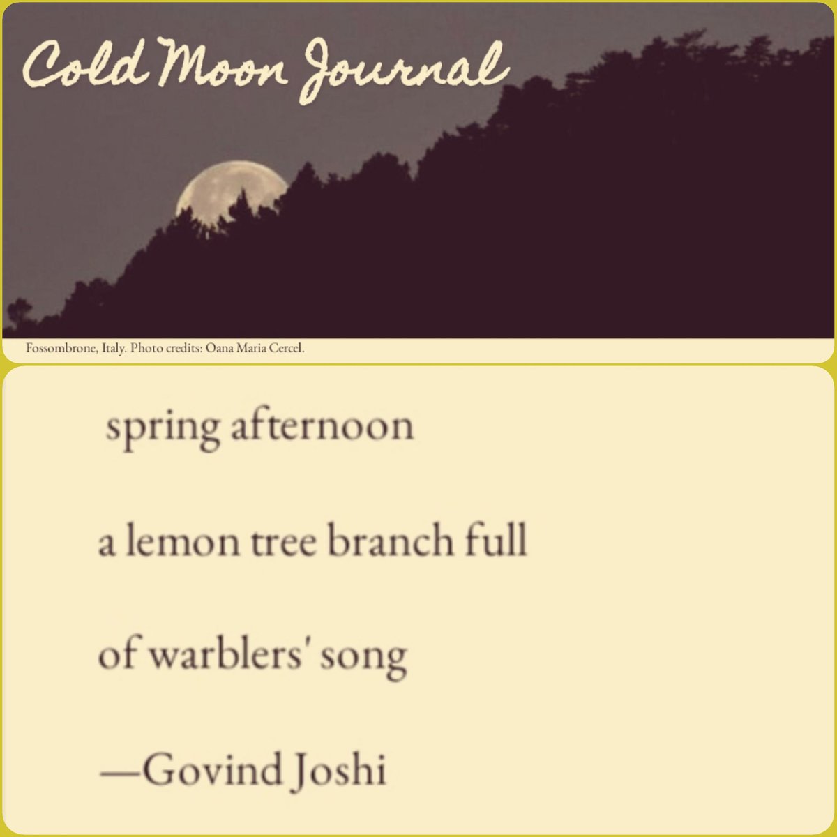 Govind Joshi tweet media