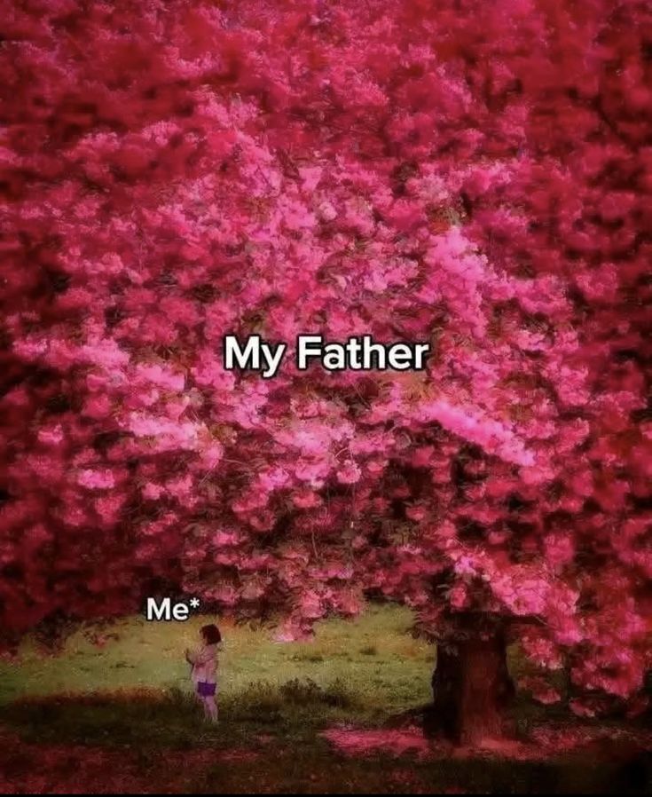 "My father my forever shelter 🖤