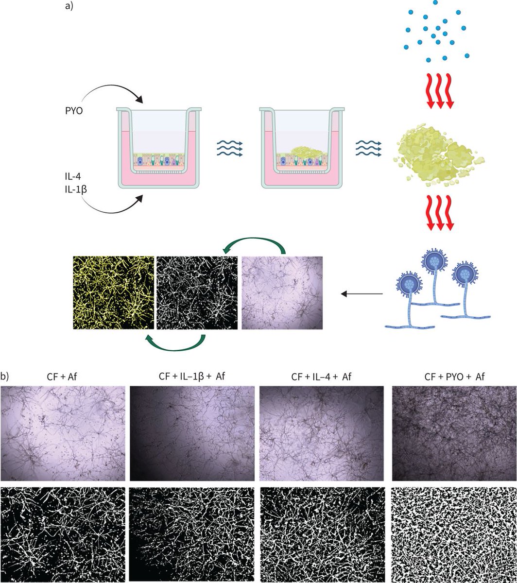 ERS publications tweet media