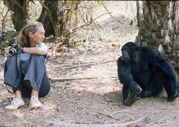 Bon dia, i bon viatge, Jane.