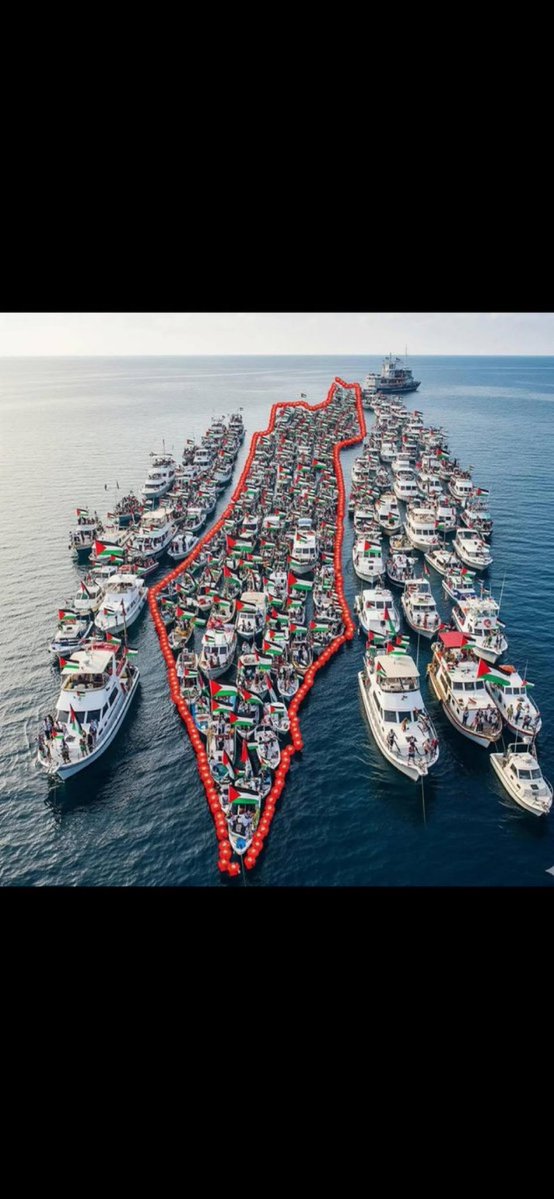 Ebu_Musab0165's tweet image. İsrail Donanması&apos;na cevap veren bir aktivist:

Biz ilaç ve bebek maması taşıyoruz; siz ise savaş suçu işliyorsunuz!

Benim Gündemim Sumud 

Nehirden Denize Özgür Filistin 

#Sondakika #FreePalestine #Gazze
#QarabağFK Bekir Develi #nazisrael