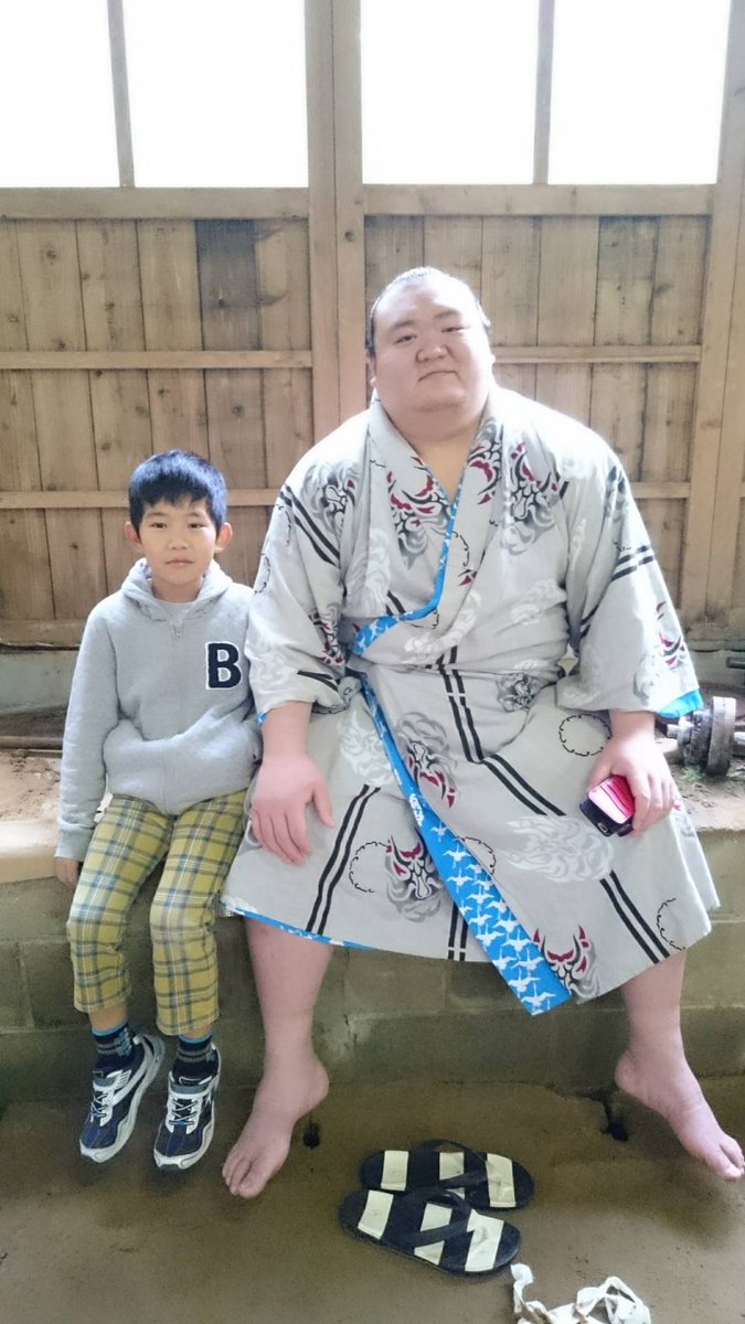 メル55507です。照ノ富士 2点 メル55507です。照ノ富士 照ノ富士