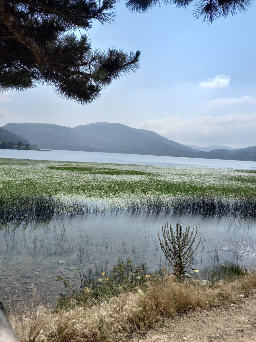 🇹🇷 Günaydınlar Türkiye'm 🇹🇷 Günaydınlar 💛 Fenerbahçe Ailesi 💙 Sağlıkla mutlu gönlünüzce güzel bir güne hayırlı işler bol kazançlar sevgiyle kalın 🇹🇷 #Perşembe #FenerinMaçıVar