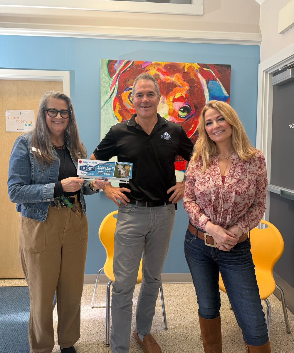 🎙Laura Steele🎙 tweet media