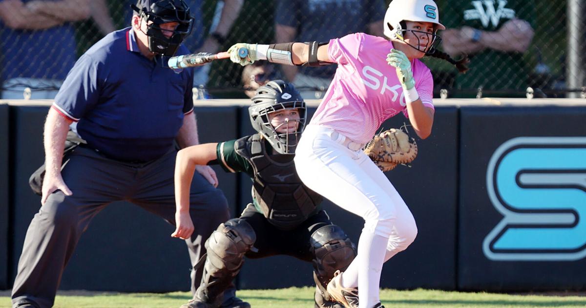 PHOTOS: Wesleyan at Seckinger Softball @wesleyanwolves @softball_wolves @skg_athletics @skg_softball bit.ly/4mMlCxh