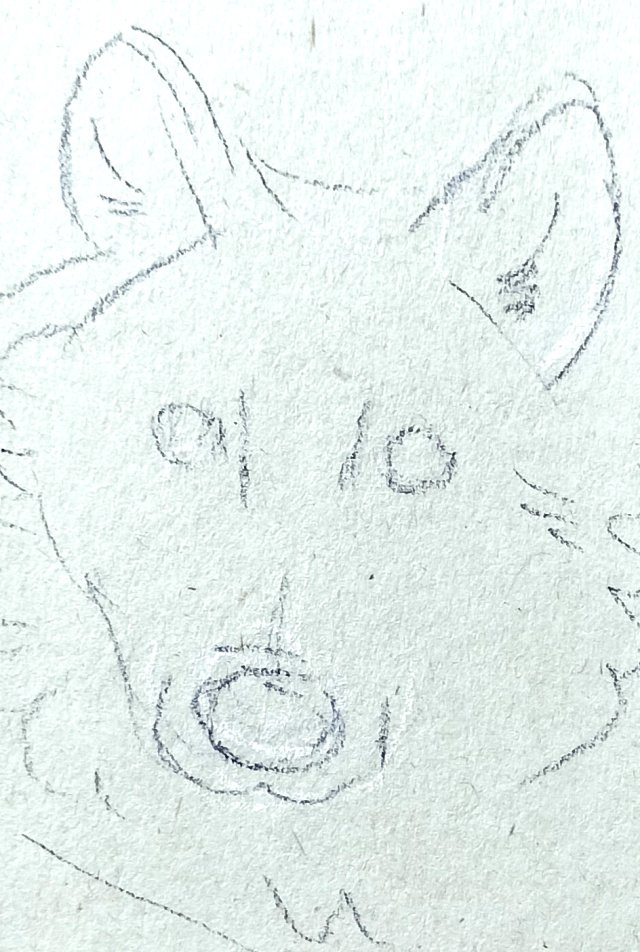 パステル画（原画）わんこ。 パステル画（原画）わんこ。