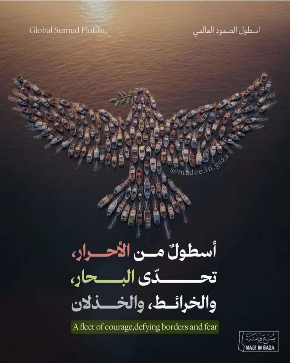 Eng_Zainab_S's tweet photo. https://t.co/wXpdsJHixS