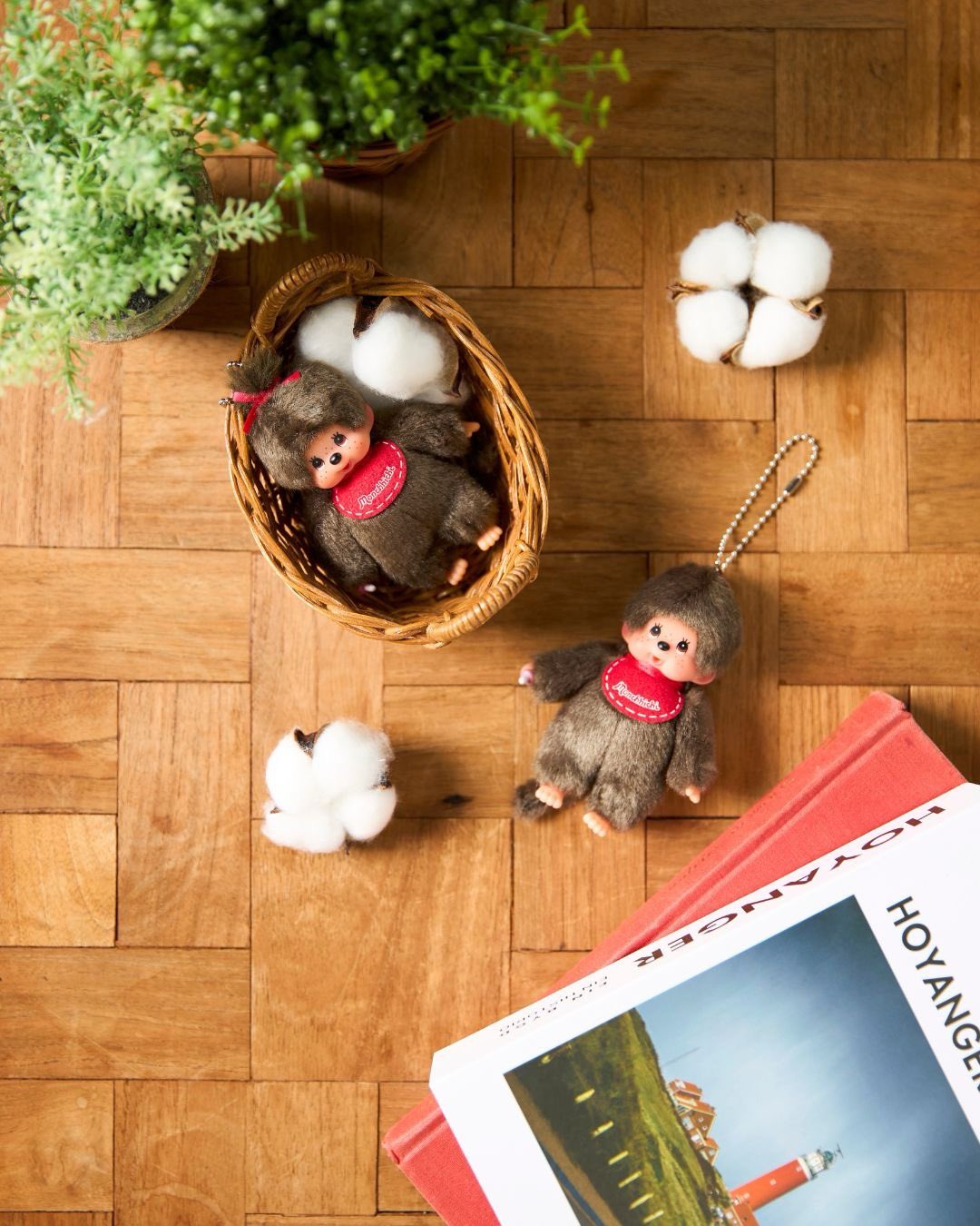 セキグチ公式オンラインショップ on X: 