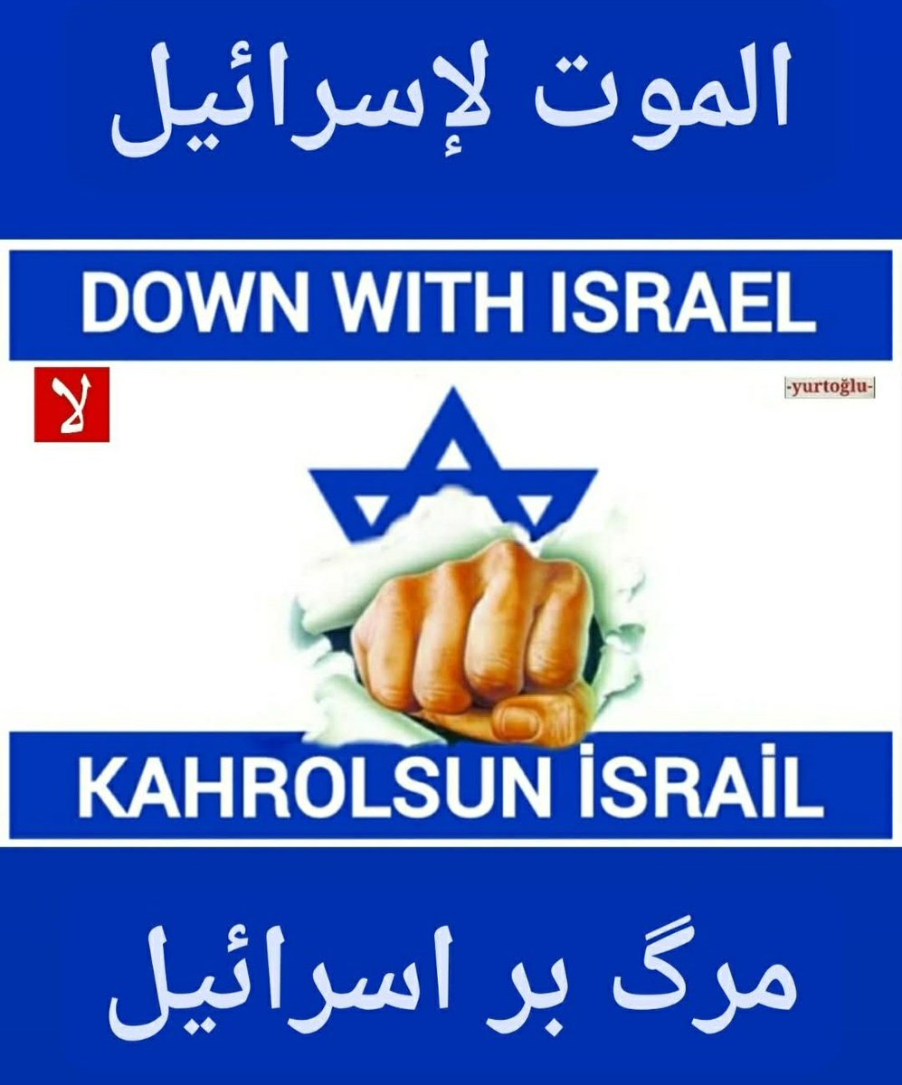 celaleddin yurtoğlu (@yurtoglucllddn) on Twitter photo 