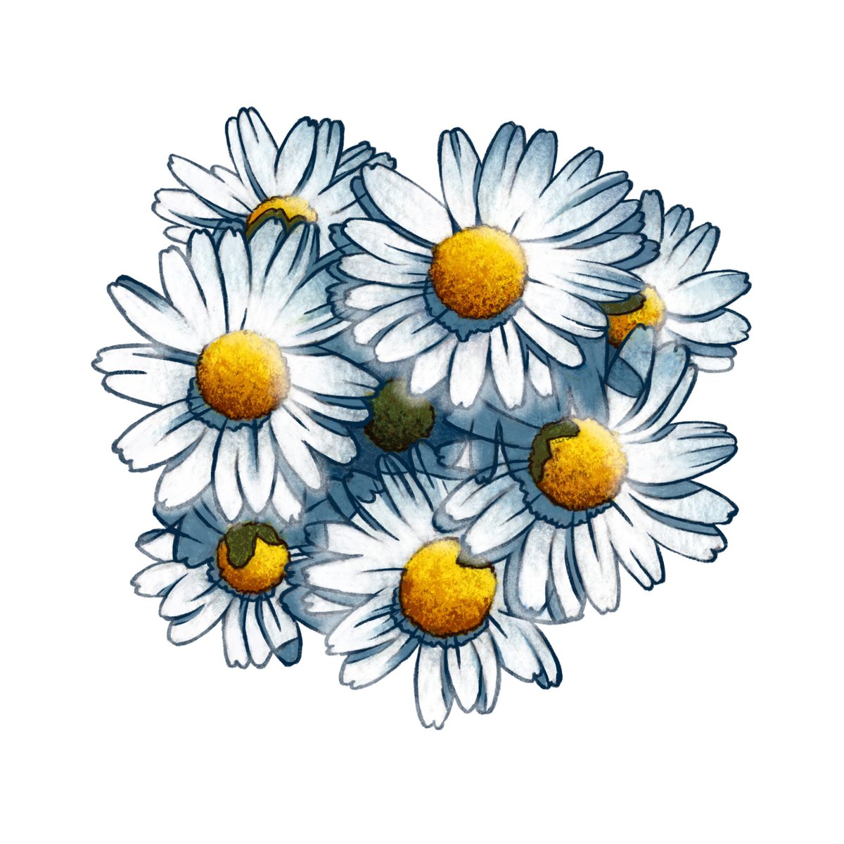「描かせて頂いたエディブルフラワーの料理と花のイラスト(一部抜粋) #食べ物イラス」|コサカダイキ｜イラストレーターのイラスト
