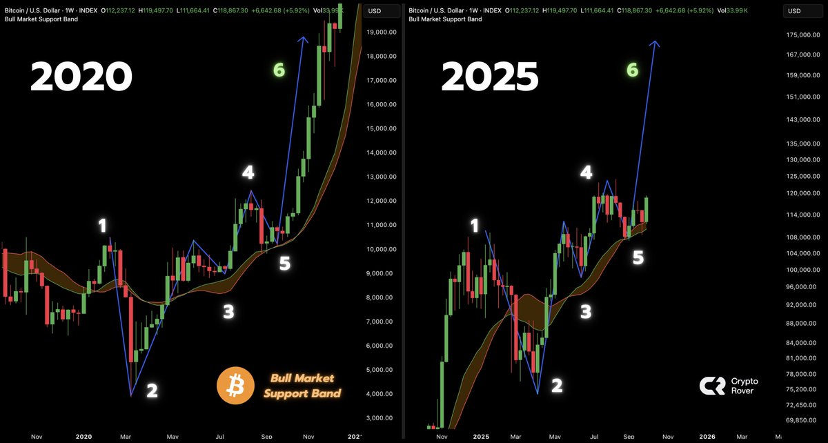 Crypto Rover tweet media
