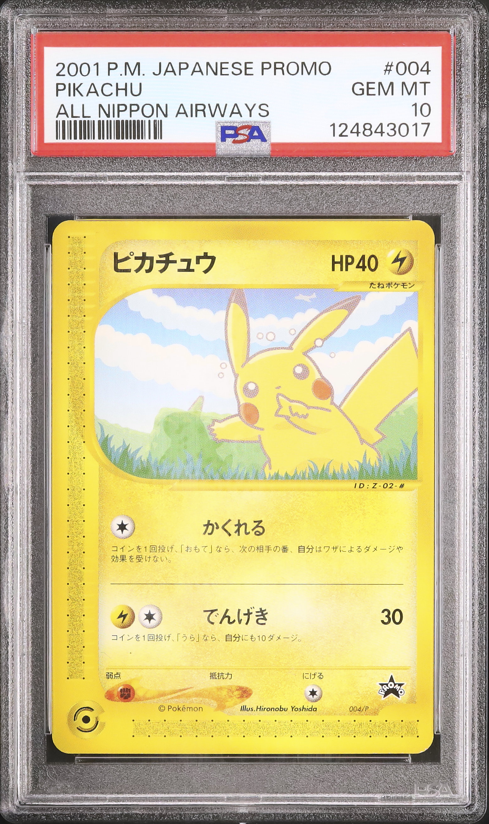 ピカチュウ ヨーギラス ANA プロモ 値下げ】ポケモンカードe ANAスペシャル ピカチュウ ヨーギラス