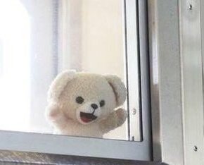 N e z z 🥨 tweet media