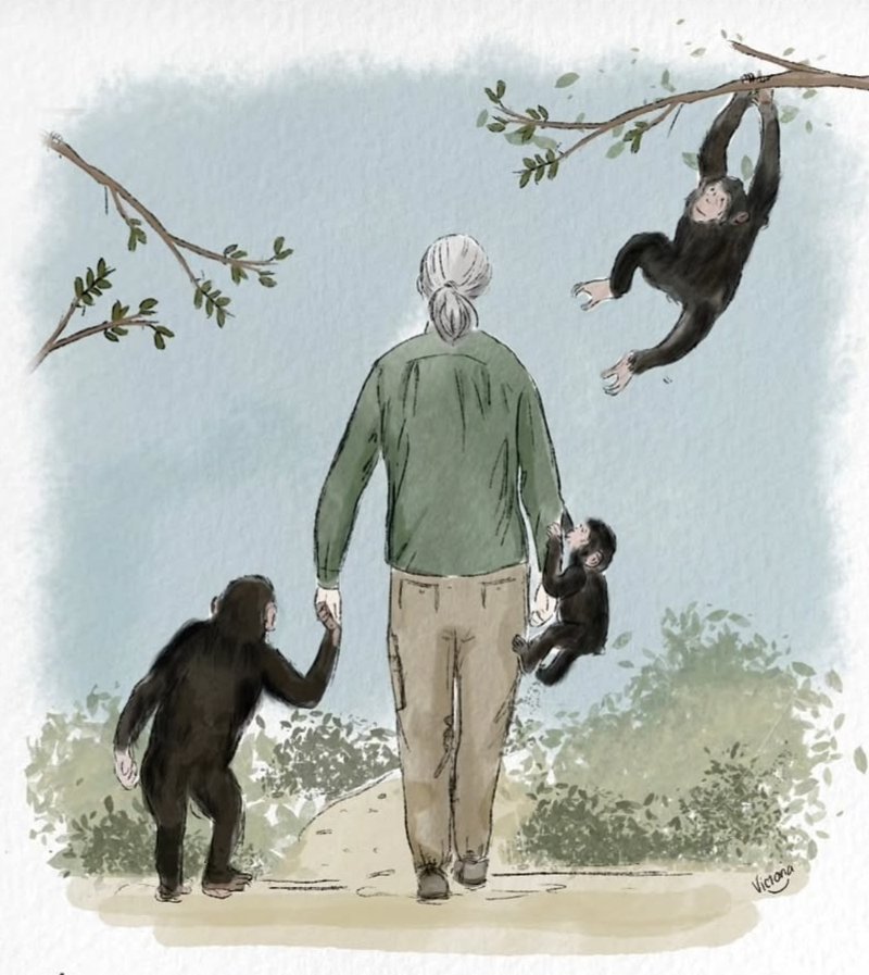 Sumitt6o's tweet photo. The world has lost an inspiring soul. Jane Goodall, the primatologist and tireless advocate for wildlife and our planet, inspired generations to care for nature. Her legacy will live on in every act of compassion for animals and the Earth. #JaneGoodall https://t.co/WosfD2Fucn