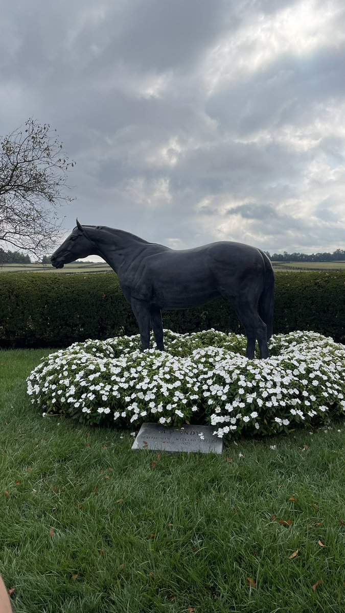 MSBahassan tweet media