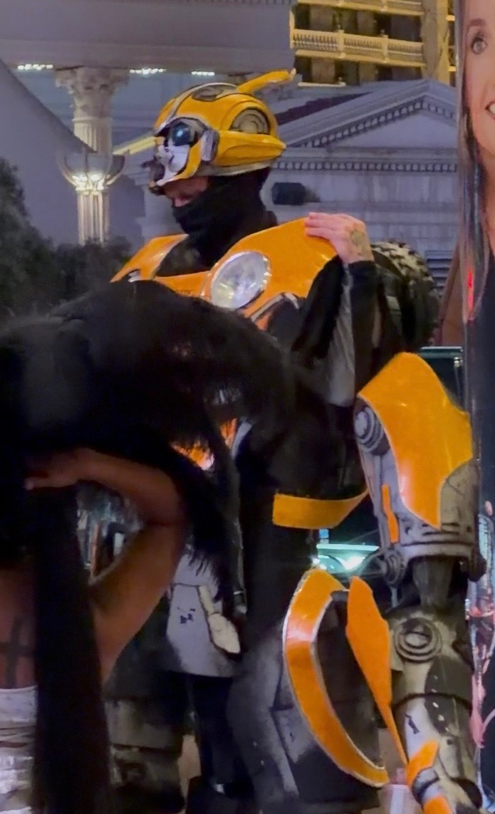 Bumblebee without the helmet is 🫠