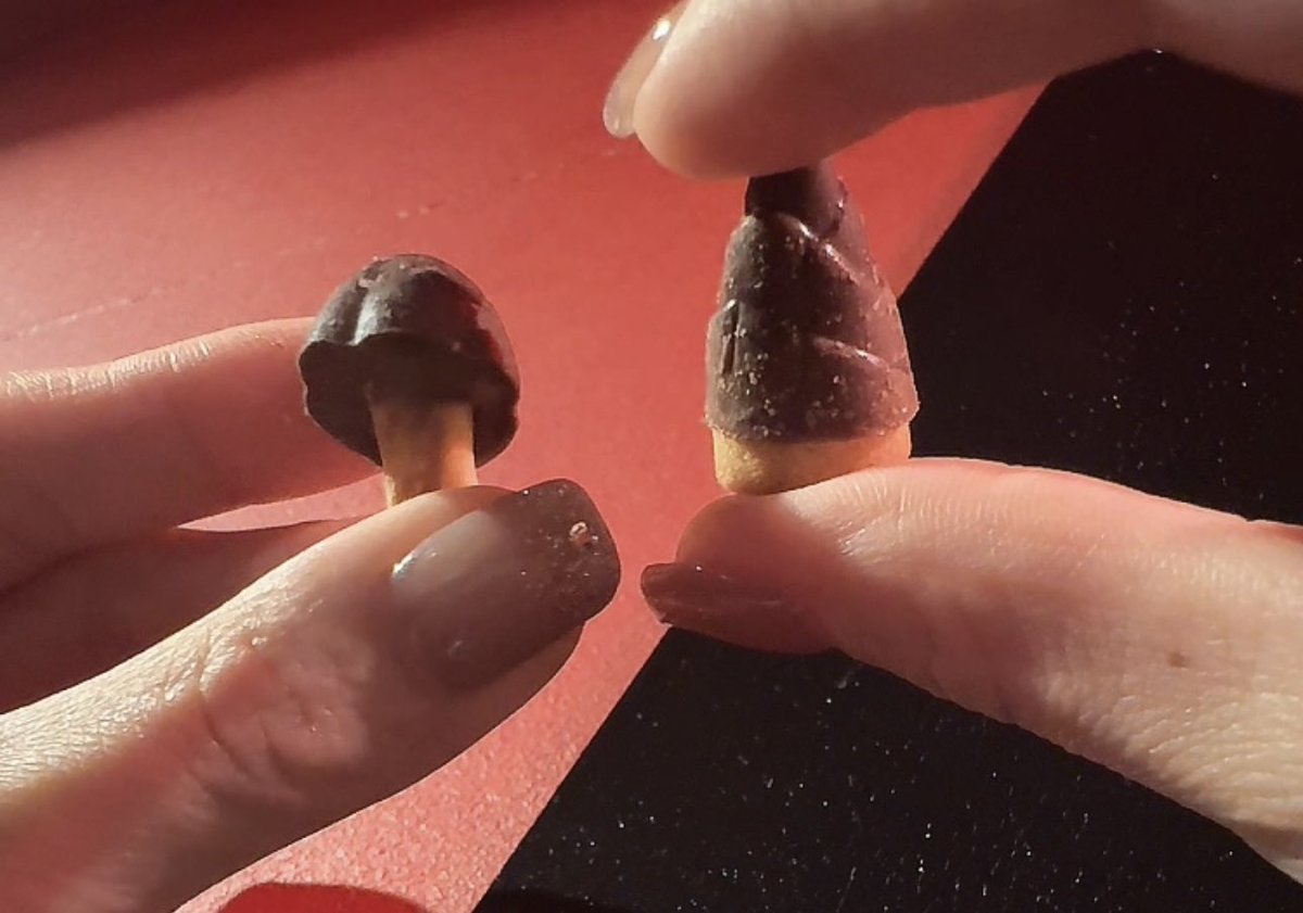 きのこもいいけど
たけのこずっと好きなんよねぇ😛

どっち派？