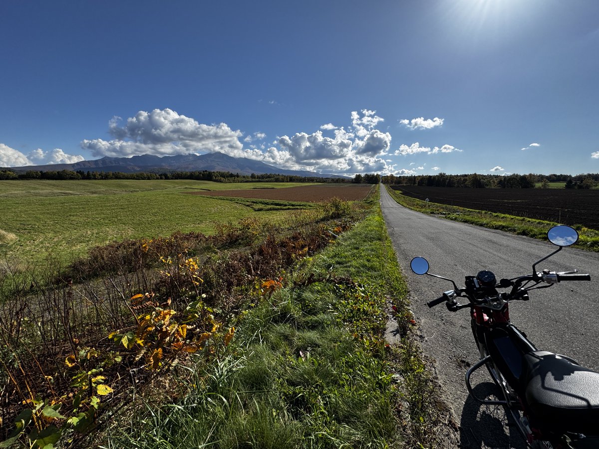 あれは大雪、大雪山（だと思う）。