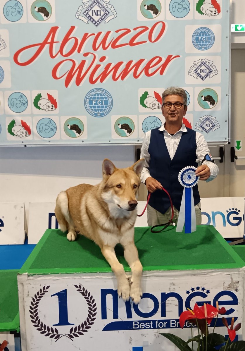 DiFossombrone's tweet photo. FOSSOMBRONE vince l'ABRUZZO WINNER 2025, a Montesilvano (Pescara) https://t.co/ooKUceK6go