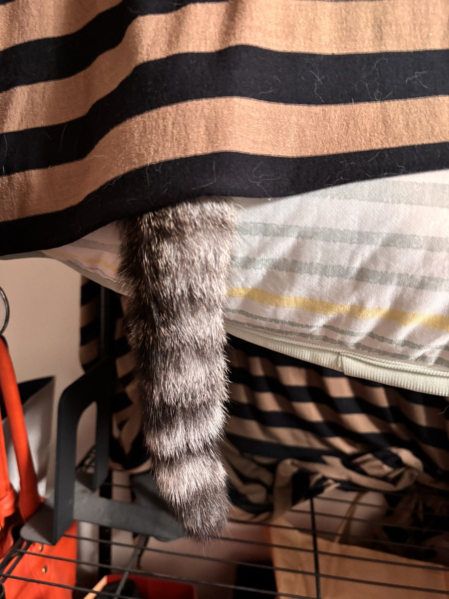 つむぐ tweet media