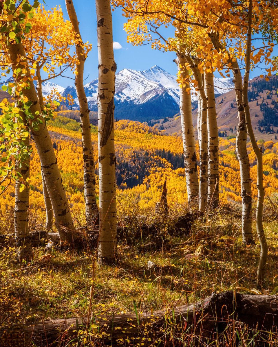 Good Morning ☀️🍂