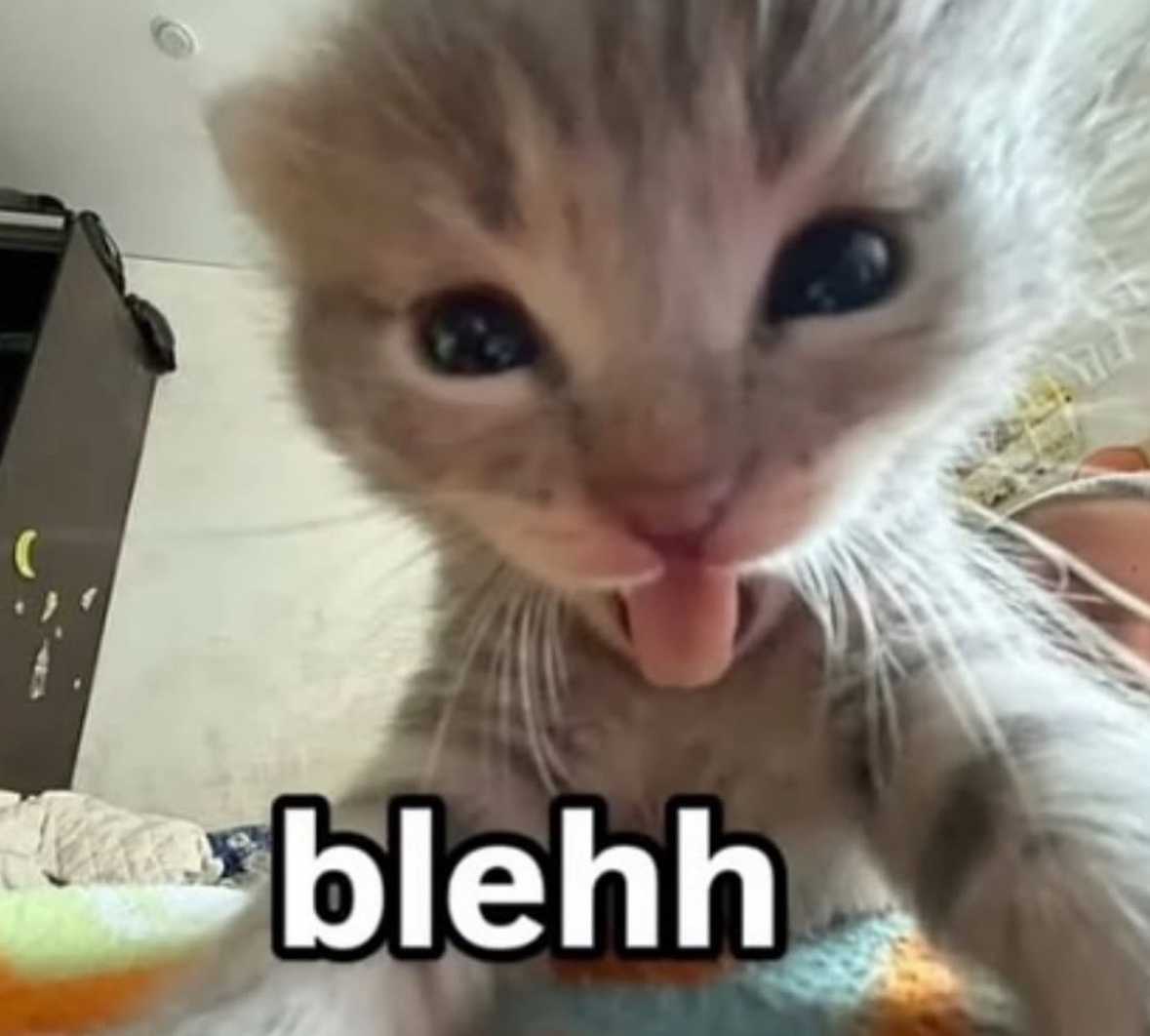 Respectful Memes (@respectfulmemes) on Twitter photo 