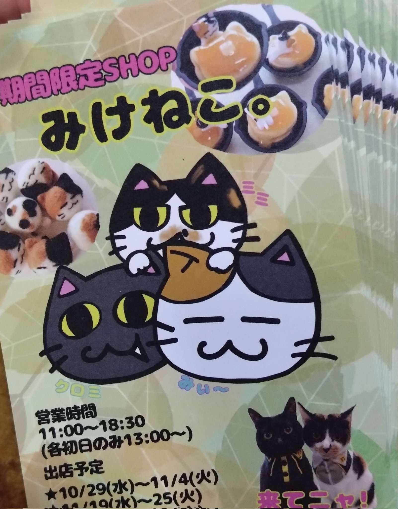 みけねこページ みけねこ - Search / X