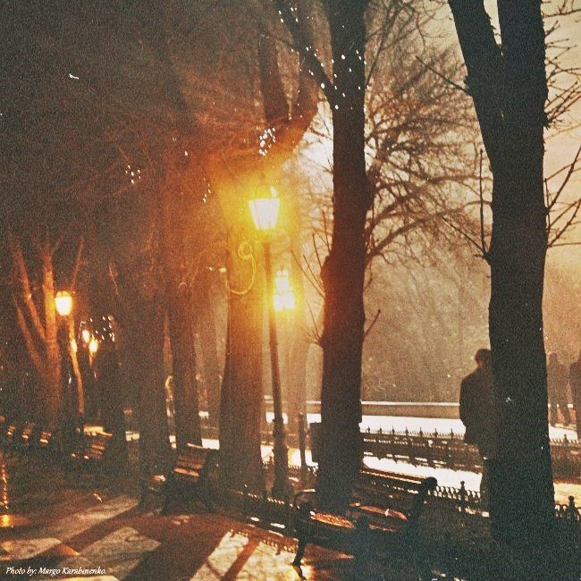 Катерина Галич tweet media