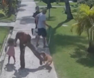 ScionYT's tweet photo. @DailyLoud He clearly sees the dog attacking. He should have been after his dog NOT the woman. There is no excuse for this other then he is a punk not scared of going after a woman. She didn't even actually hit the dog. Just shoved it off BITING her. Don't defend this dude he is pathetic. https://t.co/mOKQ3bOvSS