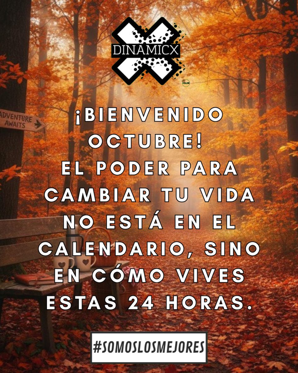 DINAMICX tweet media