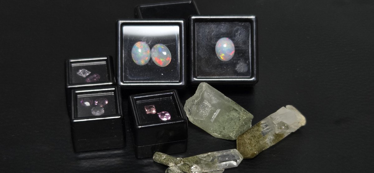 파챙이 tweet media