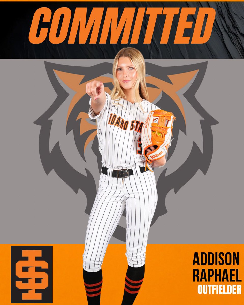 Breakers Labs Bobby 18U Gold tweet media