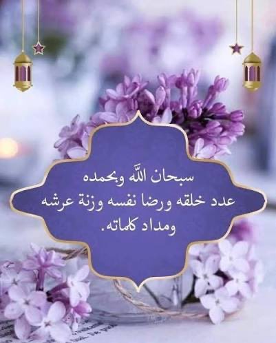 21_dareen's tweet photo. 🕊️🕊️🕊️ https://t.co/aoNbdkPhgO