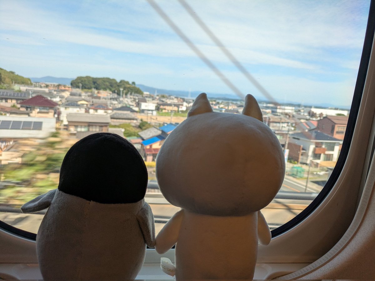 3yk1tk_neP8okeN's tweet photo. 🐈️ねこぺん🐧の散策🐾

🐈️新幹線乗って出かけるにゃ✨️
🐧浜名湖の上だっぺな🤭
🐈️富士山見えてきたにゃ😆
🐧少し雲があるけど、頂上も見えるっぺ😃

ということで短時間ですが、東京滞在決定だっぺにゃ⭐️ https://t.co/jX1kTDBL1k