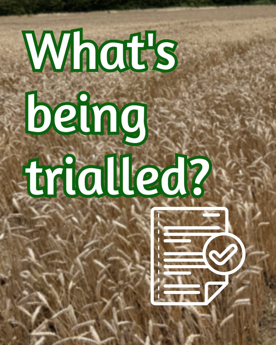 PROBITY Project tweet media