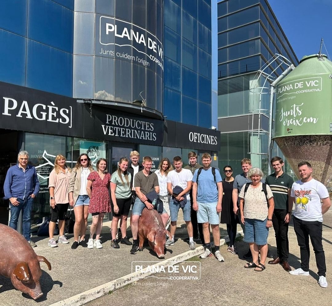 Plana de Vic tweet media