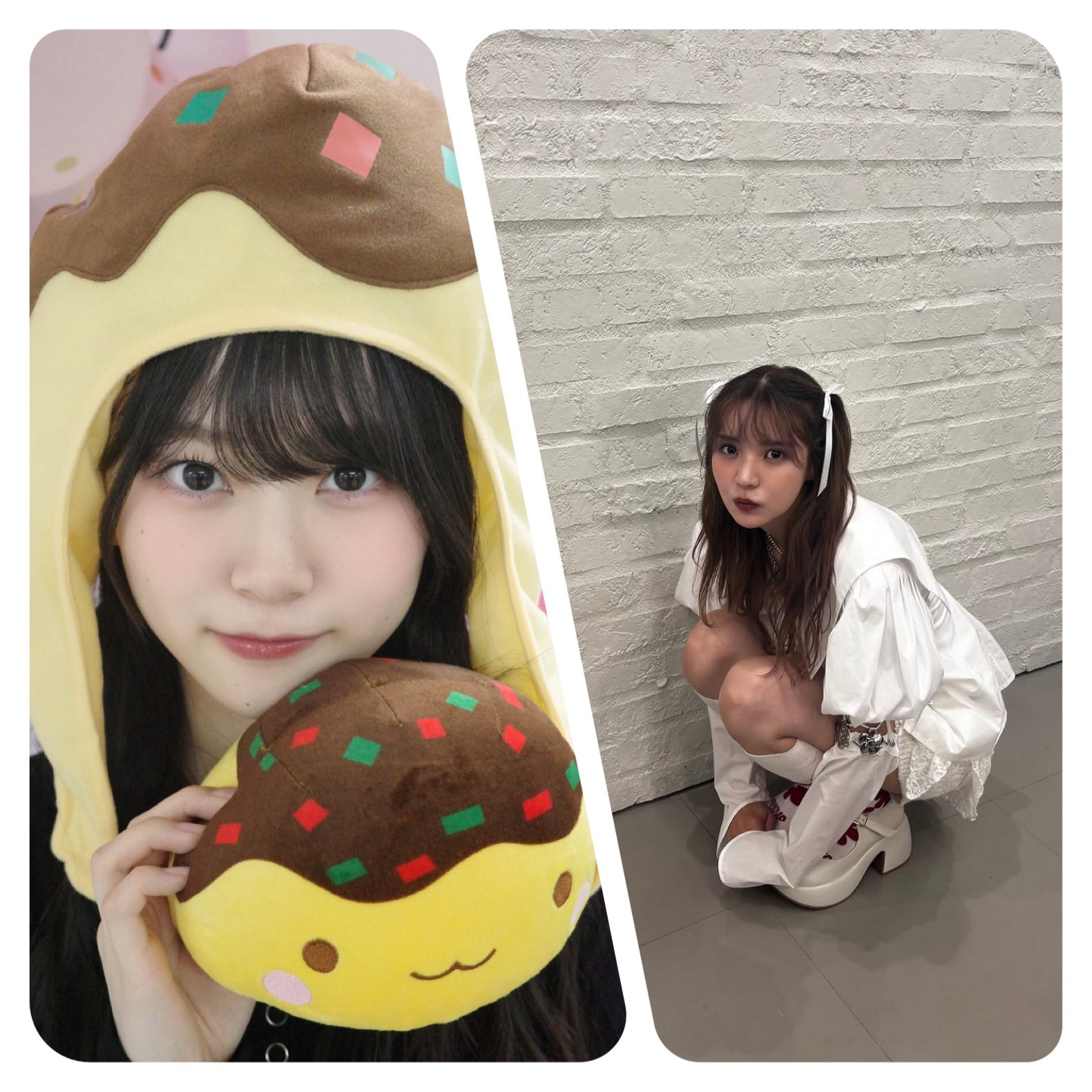 白ねぎ青ねぎ on X: 