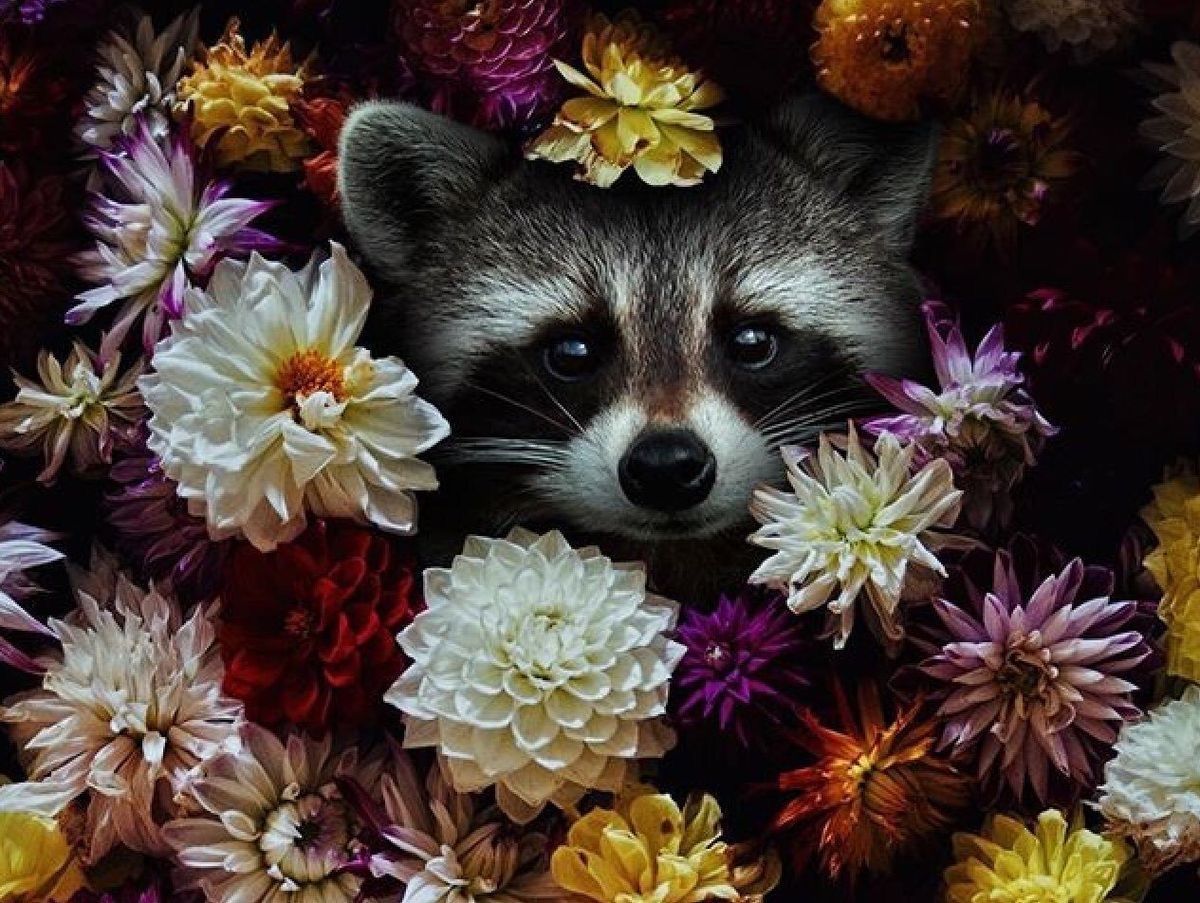 Whenever you are creating beauty around you
You are restoring your own soul. 

Alice Walker