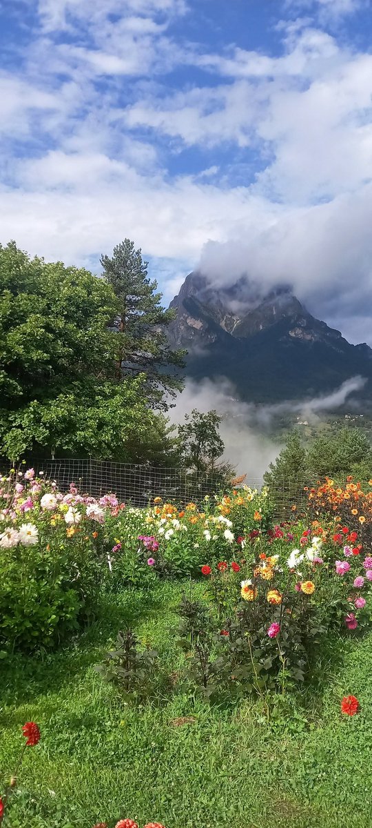 Bon dia ,, la pluja no ens ba deixar veura el Pedraforca sense , las Dalias preciosas..😘🍁🌺🌻🌷🙋‍♀️🤗❤️