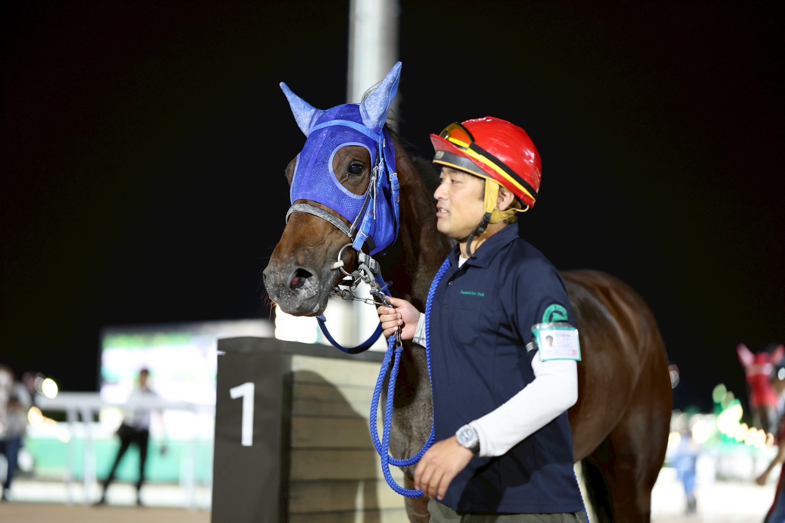 船橋ケイバ on X: 